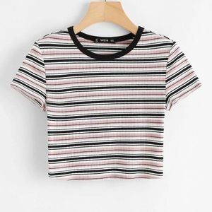Ribbed Striped Crop Tee